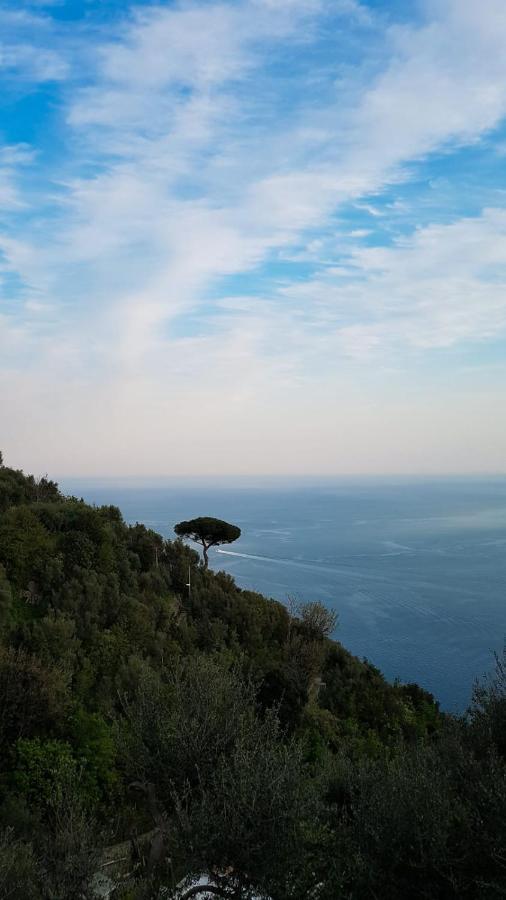 Yourhome - Relais Casa Degli Angeli Positano Bagian luar foto